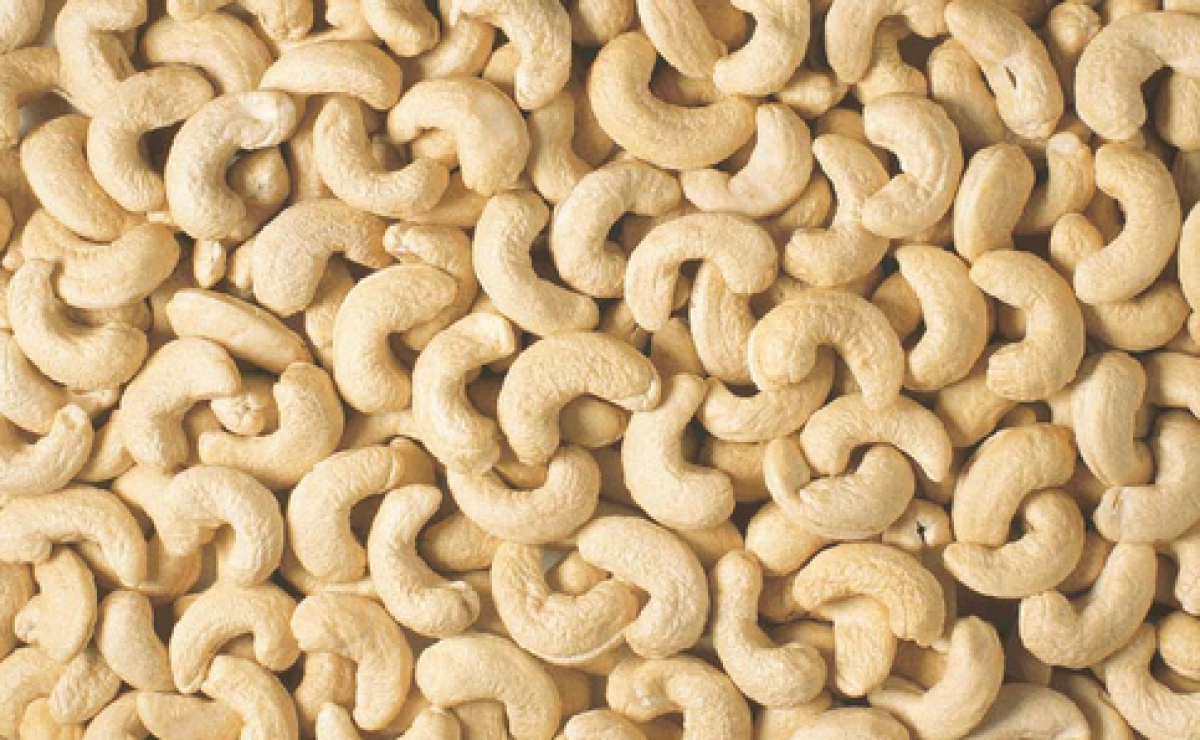 Cashew Nuts from Kenya